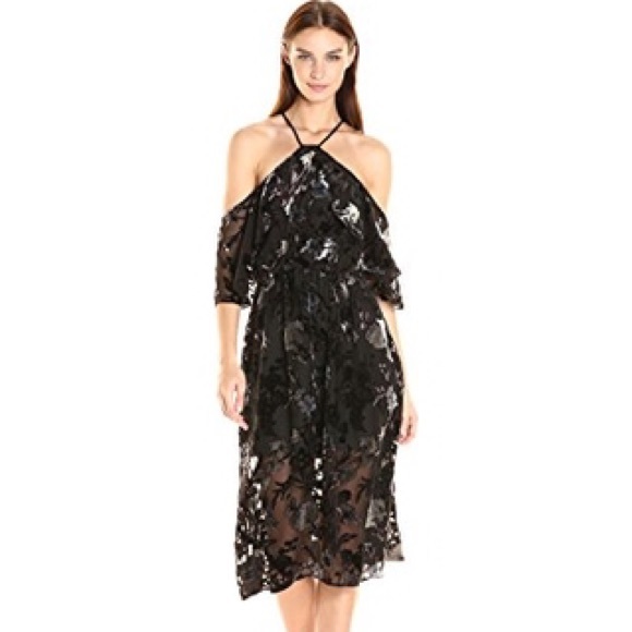 ABS Allen Schwartz Dresses & Skirts - ABS Dark Floral Velvet Whimsy Goth Dress
